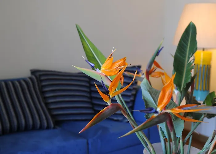 Quarte Sayal Pensionat Alghero